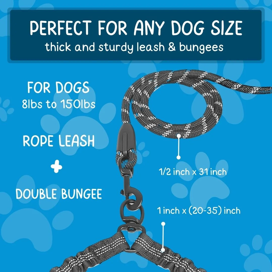 DoublePup Dual Dog Leash