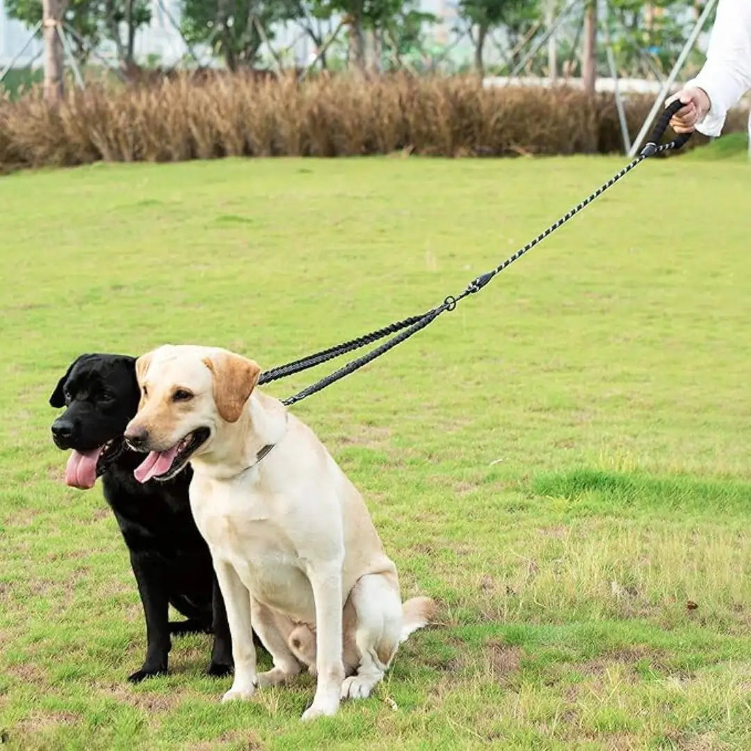 DoublePup Dual Dog Leash