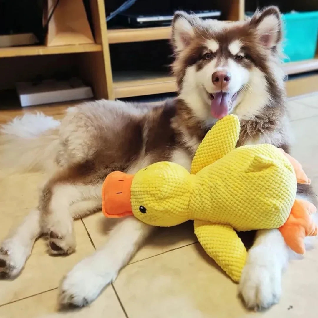 CuddleDuck Calming Dog Toy